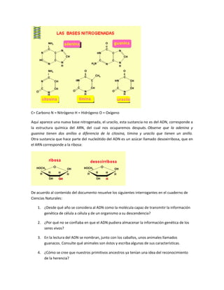 C= Carbono N = Nitrógeno H = Hidrógeno O = Oxígeno
Aquí aparece una nueva base nitrogenada, el uracilo, esta sustancia no es del ADN, corresponde a
la estructura química del ARN, del cual nos ocuparemos después. Observe que la adenina y
guanina tienen dos anillos a diferencia de la citosina, timina y uracilo que tienen un anillo.
Otra sustancia que hace parte del nucleótido del ADN es un azúcar llamado desoxirribosa, que en
el ARN corresponde a la ribosa:
De acuerdo al contenido del documento resuelve los siguientes interrogantes en el cuaderno de
Ciencias Naturales:
1. ¿Desde qué año se considera al ADN como la molécula capaz de transmitir la información
genética de célula a célula y de un organismo a su descendencia?
2. ¿Por qué no se confiaba en que el ADN pudiera almacenar la información genética de los
seres vivos?
3. En la lectura del ADN se nombran, junto con los caballos, unos animales llamados
guanacos. Consulte qué animales son éstos y escriba algunas de sus características.
4. ¿Cómo se cree que nuestros primitivos ancestros ya tenían una idea del reconocimiento
de la herencia?
 