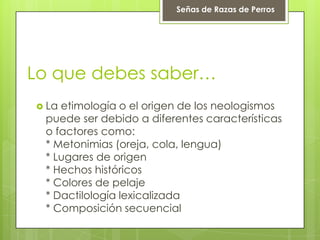 Lo que debes saber…
 La etimología o el origen de los neologismos
puede ser debido a diferentes características
o factores como:
* Metonimias (oreja, cola, lengua)
* Lugares de origen
* Hechos históricos
* Colores de pelaje
* Dactilología lexicalizada
* Composición secuencial
Señas de Razas de Perros
 