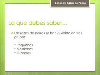 Lo que debes saber…
 Las razas de perros se han dividido en tres
grupos:
* Pequeños
* Medianos
* Grandes
Señas de Razas de Perros
 