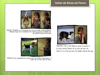 Señas de Razas de Perros
 