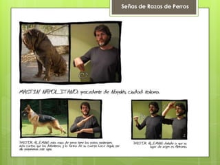 Señas de Razas de Perros
 