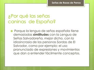 ¿Por qué las señas
caninas de España?
 Porque la lengua de señas española tiene
demasiadas similitudes con la Lengua de
Señas Salvadoreña, mejor dicho, con la
idiosincrasia de las personas Sordas de El
Salvador, como por ejemplo: el uso
pronunciado de expresiones y movimientos
que dan a entender fácilmente conceptos.
Señas de Razas de Perros
 