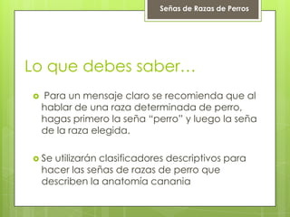 Lo que debes saber…
 Para un mensaje claro se recomienda que al
hablar de una raza determinada de perro,
hagas primero la seña “perro” y luego la seña
de la raza elegida.
 Se utilizarán clasificadores descriptivos para
hacer las señas de razas de perro que
describen la anatomía canania
Señas de Razas de Perros
 