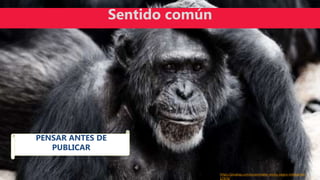 https://pixabay.com/es/animales-mono-negro-inteligente-
17474/
PENSAR ANTES DE
PUBLICAR
Sentido común
 