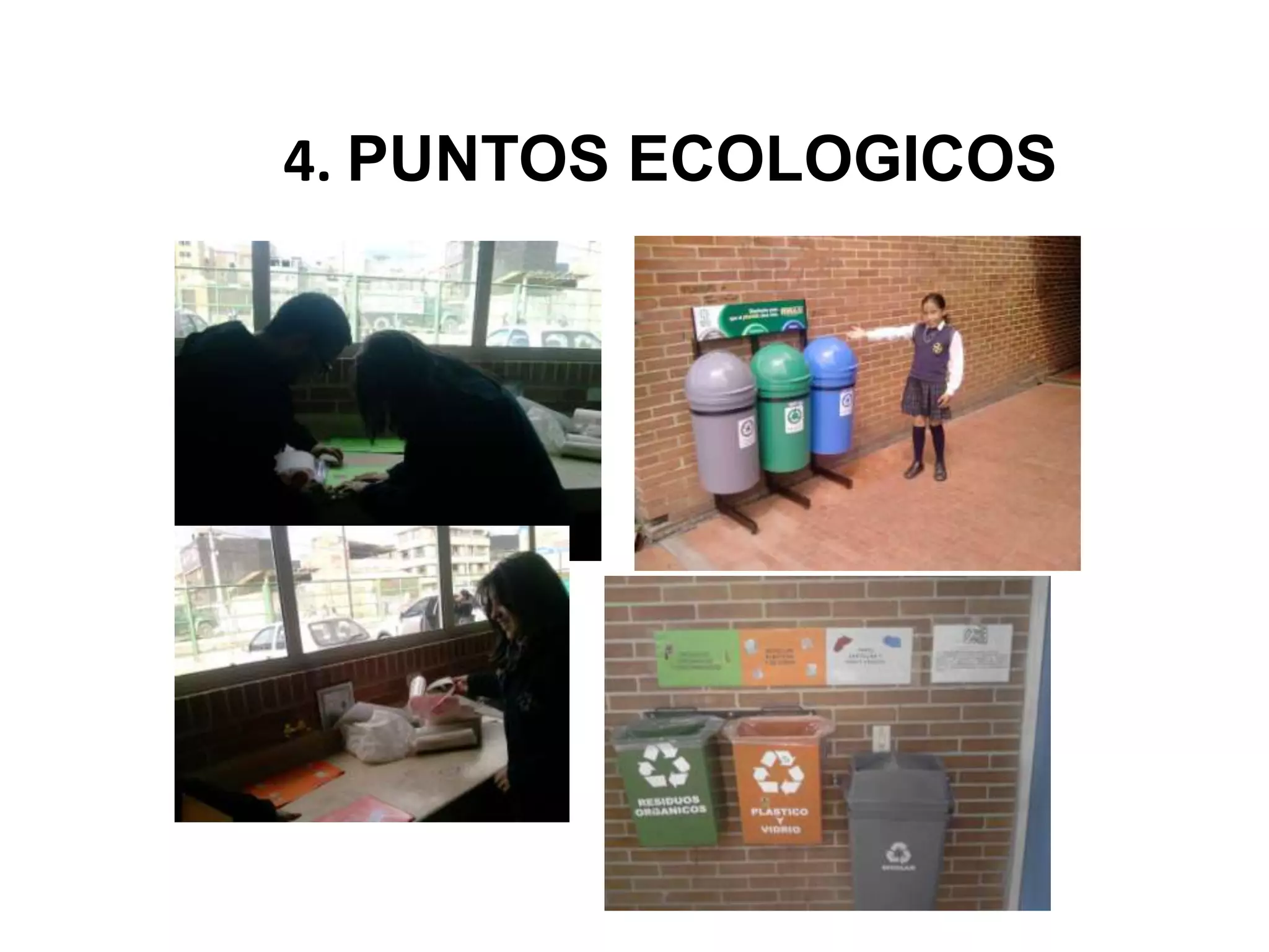 4. PUNTOS ECOLOGICOS
 