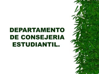 DEPARTAMENTO
DE CONSEJERIA
ESTUDIANTIL.
 