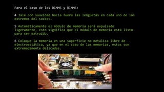 Para el caso de los DIMMS y RIMMS:
4 Jale con suavidad hacia fuera las lengüetas en cada uno de los
extremos del socket.
5 Automáticamente el módulo de memoria será expulsado
ligeramente, esto significa que el módulo de memoria está listo
para ser extraído.
6 Coloque la memoria en una superficie no metálica libre de
electroestática, ya que en el caso de las memorias, estas son
extremadamente delicadas.
 