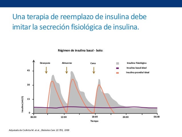 Taller de insulina Taller de insulina