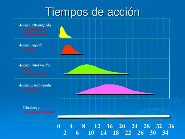 Taller de insulina Taller de insulina