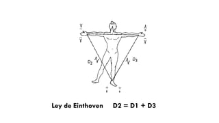 Ley de Einthoven D2 = D1 + D3
 