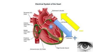 XII CURSO ANUAL DE POSTGRADO
Toma de decisiones e Cardiología y
Cirugía Cardiovascular
 