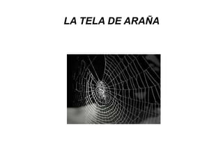 LA TELA DE ARAÑA 
 