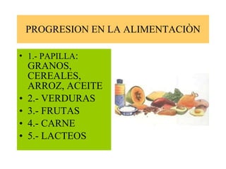 PROGRESION EN LA ALIMENTACIÒN 1.- PAPILLA : GRANOS, CEREALES, ARROZ, ACEITE 2.- VERDURAS 3.- FRUTAS 4.- CARNE 5.- LACTEOS 
