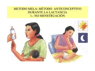 METODO MELA: MÈTODO  ANTICONCEPTIVO DURANTE LA LACTANCIA 1.- NO MENSTRUACIÒN 