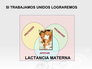 SI TRABAJAMOS UNIDOS LOGRAREMOS   APOYAR PROMOVER PROTEGER LACTANCIA MATERNA 