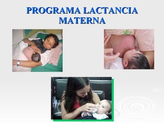 PROGRAMA LACTANCIA MATERNA 