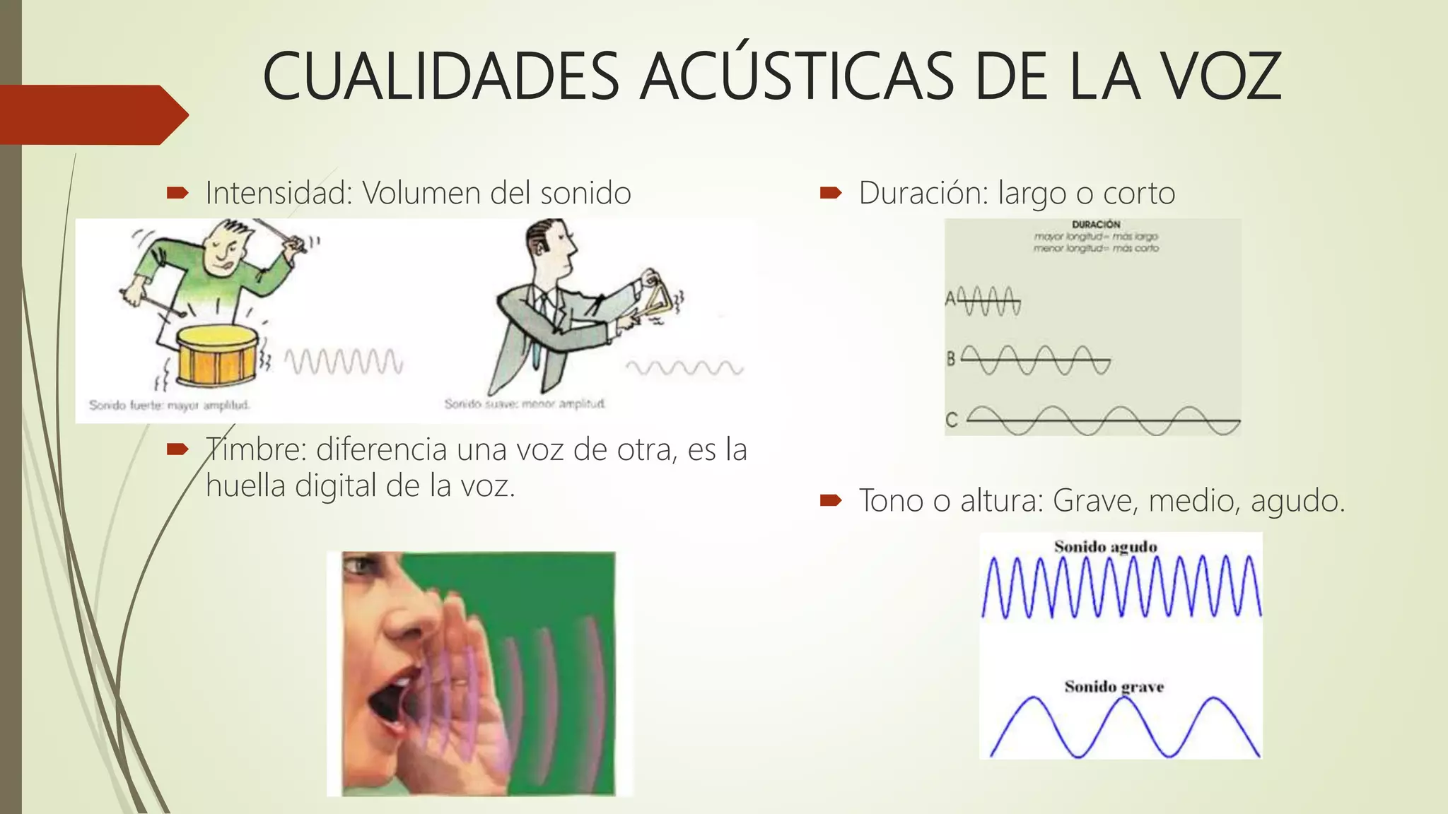 Taller la voz como herramienta docente universidad | PPTX