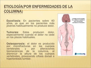 

Escoliosis: En pacientes sobre 40
años, ya que en los pacientes más
jóvenes habitualmente no produce dolor.



Tumores: Estos producen dolor,
especialmente cuando el dolor no cede
en los plazos habituales.



Osteoporosis: el dolor es producido
por microfracturas en los cuerpos
vertebrales
y
por
alteraciones
biomecánicas de la columna, al
disminuir la altura de los cuerpos
vertebrales, provocando cifosis dorsal e
hiperlordosis lumbar.

 