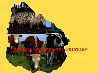 CUENCA LECHERA DEL URUGUAY

 