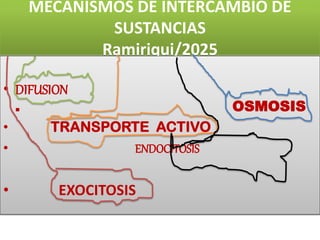 MECANISMOS DE INTERCAMBIO DE
SUSTANCIAS
Ramiriqui/2025
• DIFUSION
. OSMOSIS
• TRANSPORTE ACTIVO
• ENDOCITOSIS
• EXOCITOSIS
 
