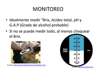 MONITOREO
• Idealmente medir °Brix, Acidez total, pH y
G.A.P (Grado de alcohol probable)
• Si no se puede medir todo, al menos chequear
el Brix.
Fuente: https://aprendeacatarvino.wordpress.com
Fuente: www.pce-iberica.es
 