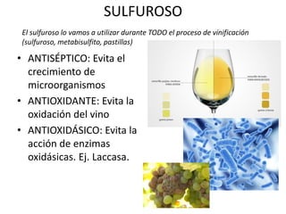 SULFUROSO
• ANTISÉPTICO: Evita el
crecimiento de
microorganismos
• ANTIOXIDANTE: Evita la
oxidación del vino
• ANTIOXIDÁSICO: Evita la
acción de enzimas
oxidásicas. Ej. Laccasa.
El sulfuroso lo vamos a utilizar durante TODO el proceso de vinificación
(sulfuroso, metabisulfito, pastillas)
 