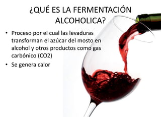 ¿QUÉ ES LA FERMENTACIÓN
ALCOHOLICA?
• Proceso por el cual las levaduras
transforman el azúcar del mosto en
alcohol y otros productos como gas
carbónico (CO2)
• Se genera calor
 