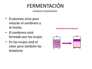 FERMENTACIÓN
• El pisoneo sirve para
mezclar el sombrero y
el mosto.
• El sombrero está
formado por los orujos
• En los orujos está el
color pero también las
levaduras
PISONEOS O REMONTAJES
 