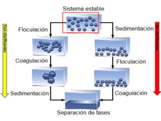 Conclarificantes
Sinclarificantes
 