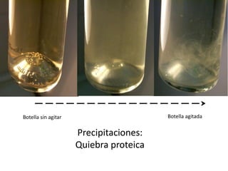 Precipitaciones:
Quiebra proteica
Botella sin agitar Botella agitada
 