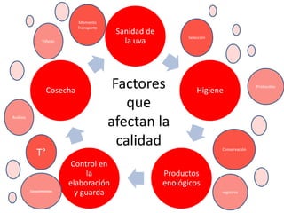 Sanidad de
la uva
Higiene
Productos
enológicos
Control en
la
elaboración
y guarda
Cosecha
Factores
que
afectan la
calidad
T°
Momento
Transporte
Conservación
Selección
Conocimientos
Viñedo
Protocolos
registros
Análisis
 