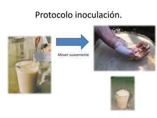 Protocolo inoculación.
Mover suavemente
 