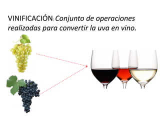 VINIFICACIÓN: Conjunto de operaciones
realizadas para convertir la uva en vino.
 