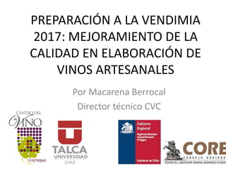 PREPARACIÓN A LA VENDIMIA
2017: MEJORAMIENTO DE LA
CALIDAD EN ELABORACIÓN DE
VINOS ARTESANALES
Por Macarena Berrocal
Director técnico CVC
 