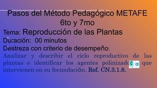 TALLER METAFE para instituciones de Etnoeducación del Ecuador | PPTX