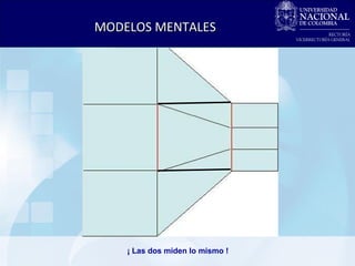 ¡ Las dos miden lo mismo ! MODELOS MENTALES 