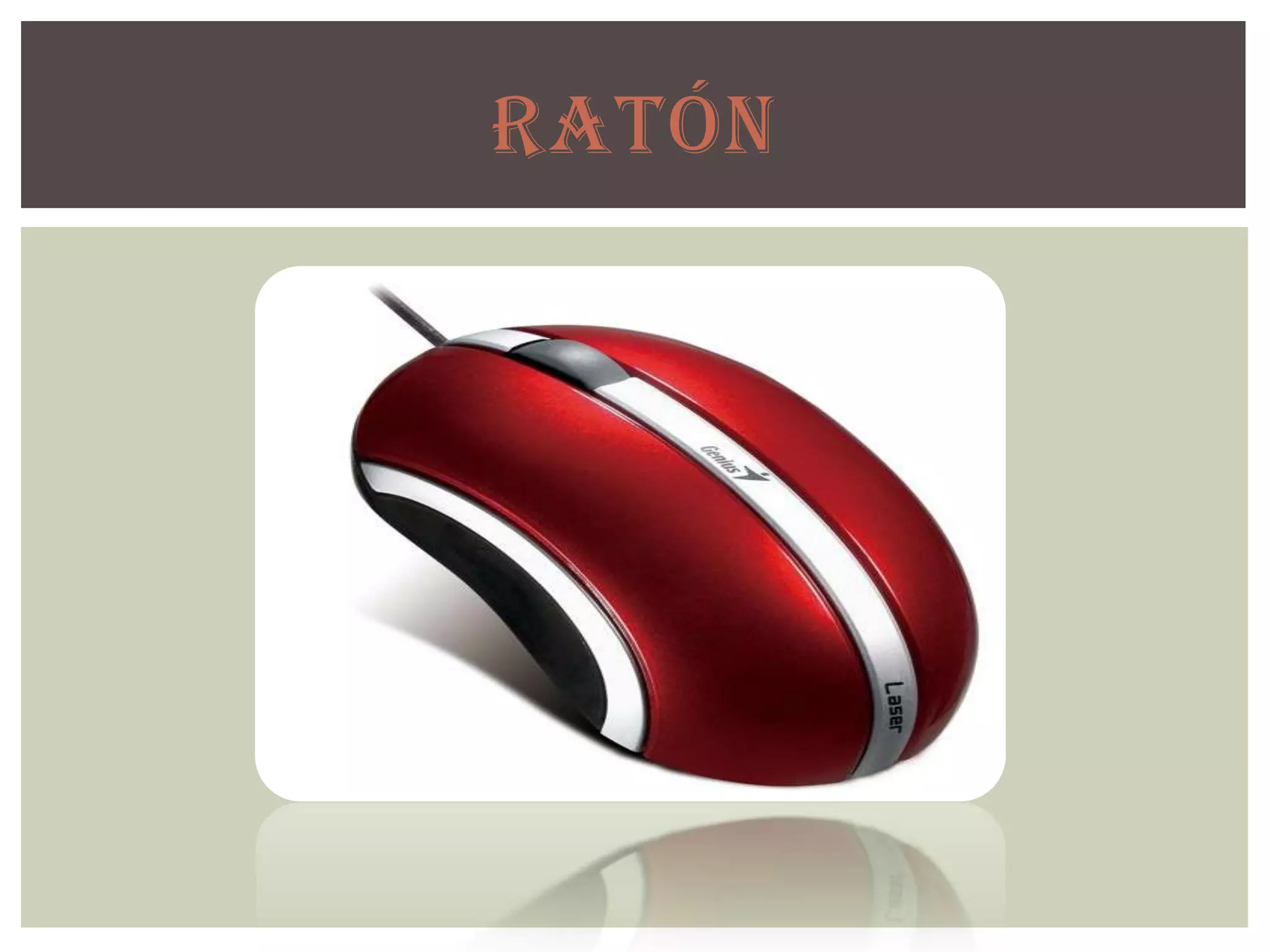 RATÓN