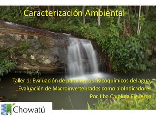 Caracterización Ambiental
Taller 1: Evaluación de parámetros fisicoquímicos del agua.
Evaluación de Macroinvertebrados como bioIndicadores
Por. Ilba Carolina Figueroa
 