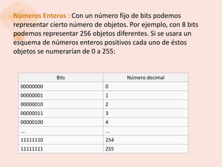 Números Enteros : Con un número fijo de bits podemos
representar cierto número de objetos. Por ejemplo, con 8 bits
podemos representar 256 objetos diferentes. Si se usara un
esquema de números enteros positivos cada uno de éstos
objetos se numerarían de 0 a 255:


              Bits                   Número decimal
  00000000                    0
  00000001                    1
  00000010                    2
  00000011                    3
  00000100                    4
  ...                         ...
  11111110                    254
  11111111                    255
 