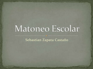Sebastian Zapata Castaño

 