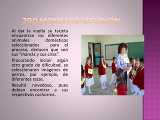 Al dar la vuelta su tarjeta
encuentran los diferentes
animales          domésticos
seleccionados       para el
proceso, deducen que son
sus “mamás y sus crías”.
Procurando incluir algún
otro grado de dificultad, se
seleccionaron imágenes de
perros, por ejemplo, de
diferentes razas.
Resultó novedoso, pues
debían encontrar a sus
respectivos cachorros.
 