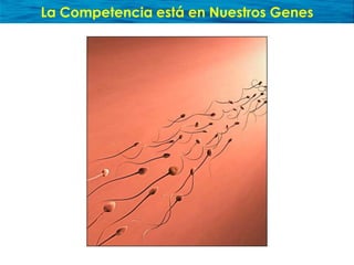 Presentación sobre Océano Azul