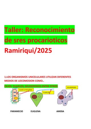 Taller: Reconocimiento
de sres procarioticos
Ramiriqui/2025
1.LOS ORGANISMOS UNICELULARES UTILIZAN DIFERENTES
MEDIOS DE LOCOMOSION COMO..
CILIOS, FLAJELOS, SEUDOPODOS ENTRE OTROS
PARAMECIO EUGLENA AMEBA
CILIOS O PESTAÑAS
FLAJELOS
SEUDOPODO
S
 