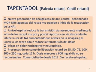 Orden Palexia
