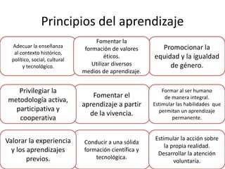 Principios del aprendizaje
Adecuar la enseñanza
al contexto histórico,
político, social, cultural
y tecnológico.
Fomentar el
aprendizaje a partir
de la vivencia.
Privilegiar la
metodología activa,
participativa y
cooperativa
Conducir a una sólida
formación científica y
tecnológica.
Valorar la experiencia
y los aprendizajes
previos.
Estimular la acción sobre
la propia realidad.
Desarrollar la atención
voluntaria.
Formar al ser humano
de manera integral.
Estimular las habilidades que
permitan un aprendizaje
permanente.
Promocionar la
equidad y la igualdad
de género.
Fomentar la
formación de valores
éticos.
Utilizar diversos
medios de aprendizaje.
 