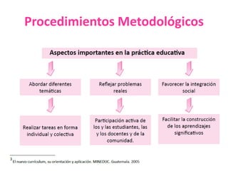 Procedimientos Metodológicos
 