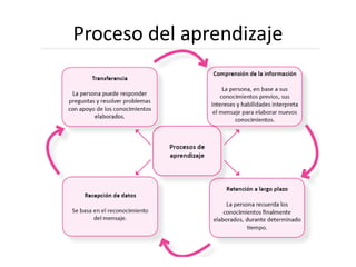 Proceso del aprendizaje
 