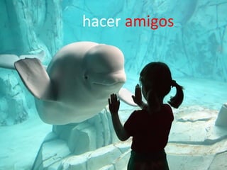 hacer amigos
 