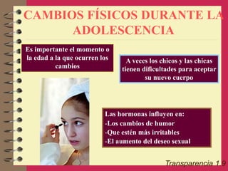 CAMBIOS FÍSICOS DURANTE LA
ADOLESCENCIA
Transparencia 1.9
A veces los chicos y las chicas
tienen dificultades para aceptar
su nuevo cuerpo
Las hormonas influyen en:
-Los cambios de humor
-Que estén más irritables
-El aumento del deseo sexual
Es importante el momento o
la edad a la que ocurren los
cambios
 