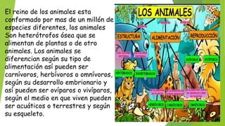 El reino de los animales esta
conformado por mas de un millón de
especies diferentes, los animales
Son heterótrofos ósea que se
alimentan de plantas o de otro
animales. Los animales se
diferencian según su tipo de
alimentación así pueden ser
carnívoros, herbívoros o omnívoros,
según su desarrollo embrionario y
así pueden ser ovíparos o vivíparos,
según el medio en que viven pueden
ser acuáticos o terrestres y según
su esqueleto.
 